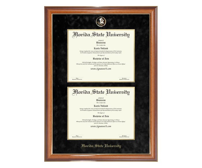 1 FSU Diploma Frame DDSN