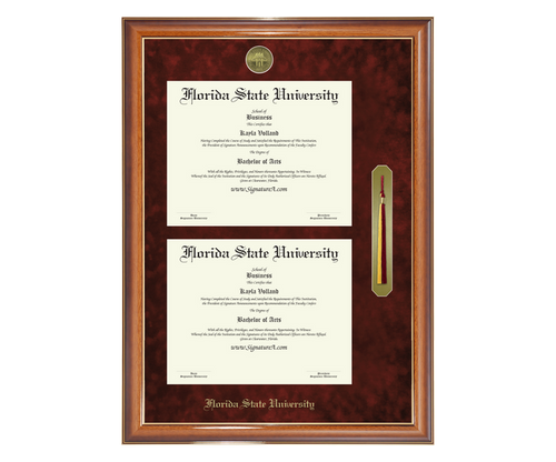1 FSU Diploma Frame DDSNT