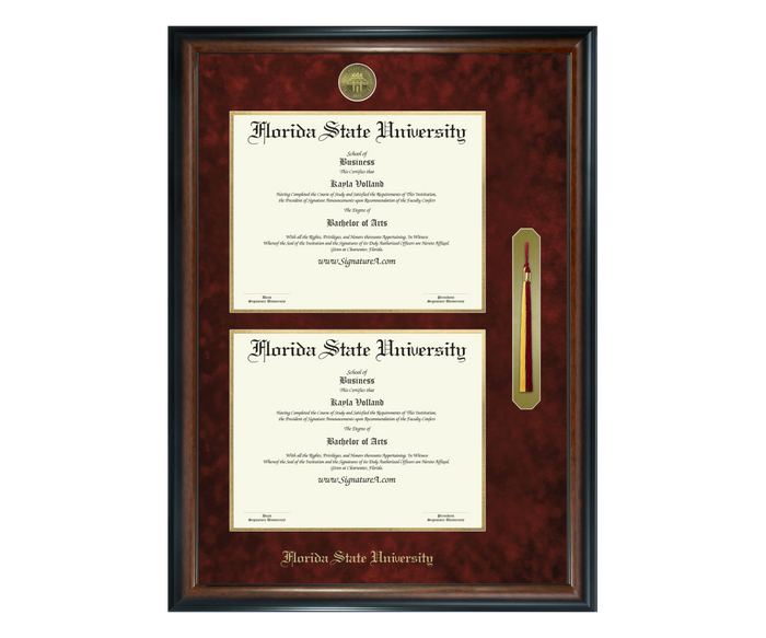 1 FSU Diploma Frame DDSNT
