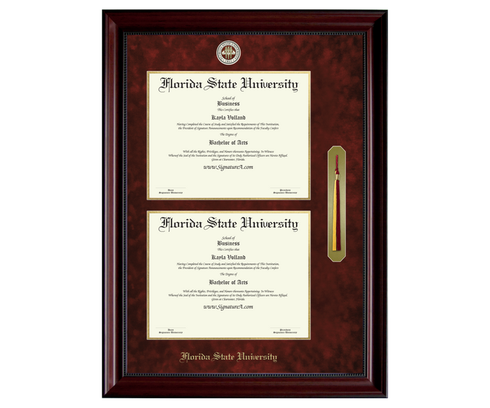 1 FSU Diploma Frame DDSNT
