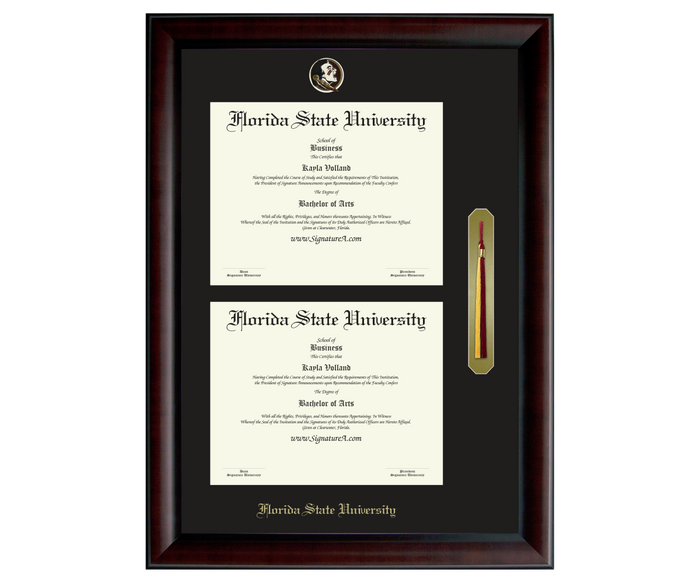 1 FSU Diploma Frame DDSNT