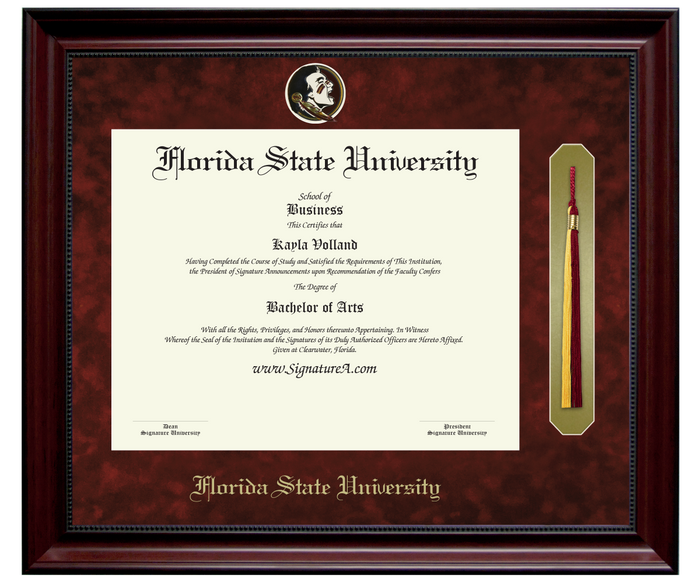 1 FSU Diploma Frame SNT