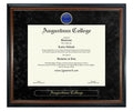 Augustana College Diploma Frame (SN)