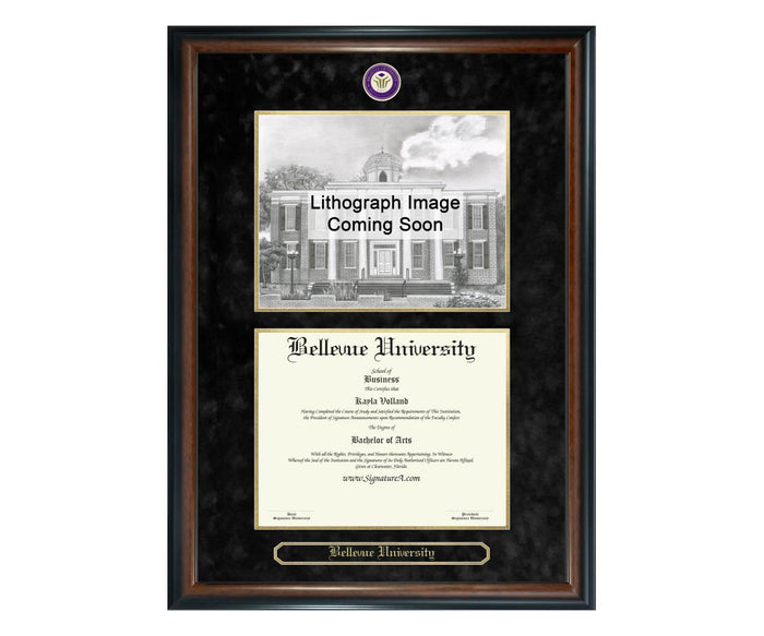 Bellevue University Diploma Frame (SNL)