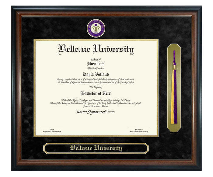 Bellevue University Diploma Frame (SNT)