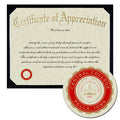 Central College Certificate of Appreciation