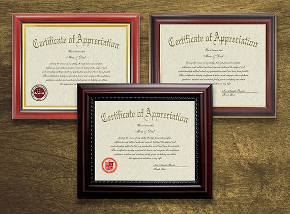 COA Certificate Frames