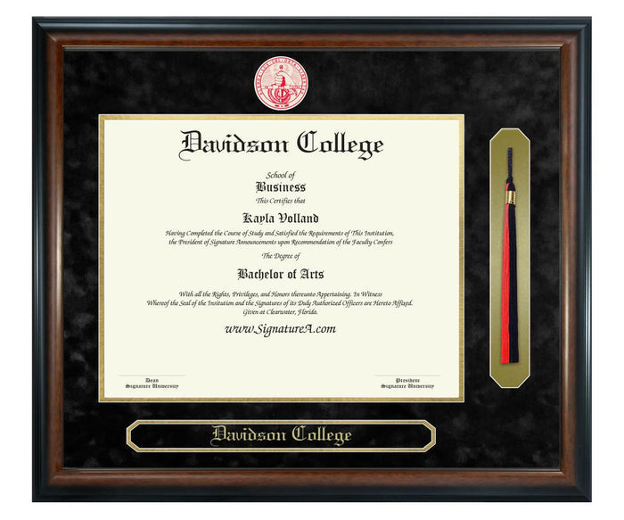 Davidson College Diploma Frame (SNT)