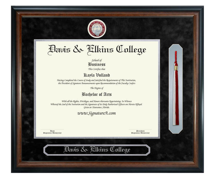 Davis & Elkins College Diploma Frame (SNT)