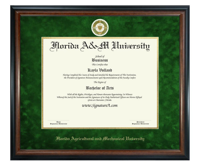 Florida A&M University Diploma Frame (SN)