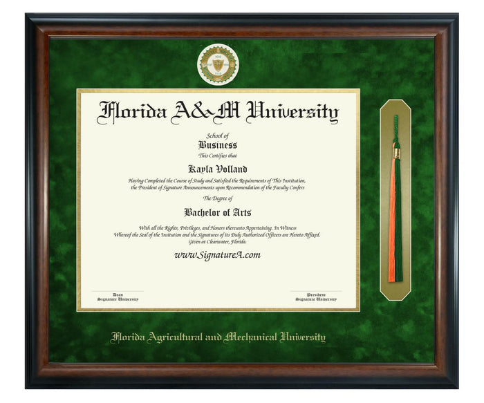 Florida A&M University Diploma Frame (SNT)
