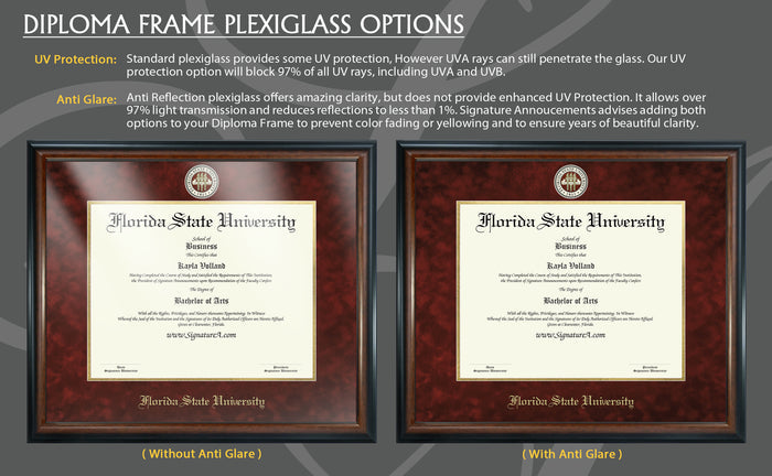 Frame Glass Options