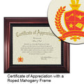 Harvard University T.H. Chan School of Public Health  Certificate of Appreciation