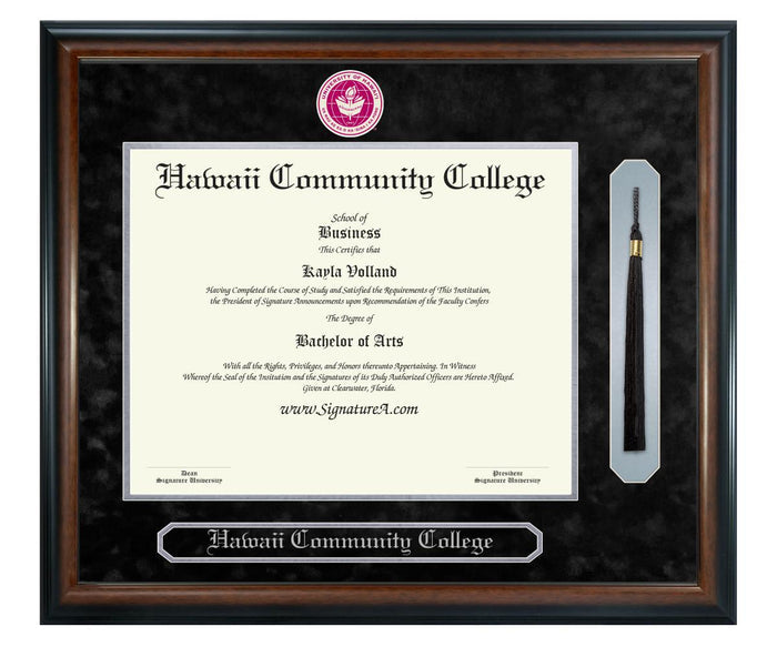 Hawaii Community College Diploma Frame (SNT)