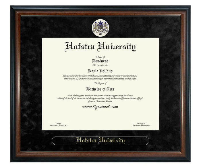 Hofstra University Diploma Frame (SN)