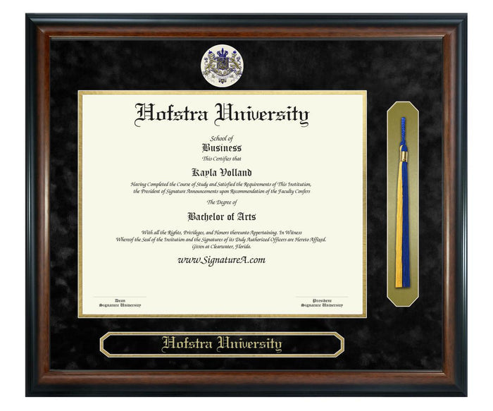 Hofstra University Diploma Frame (SNT)