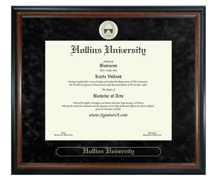 Hollins University Diploma Frame (SN)