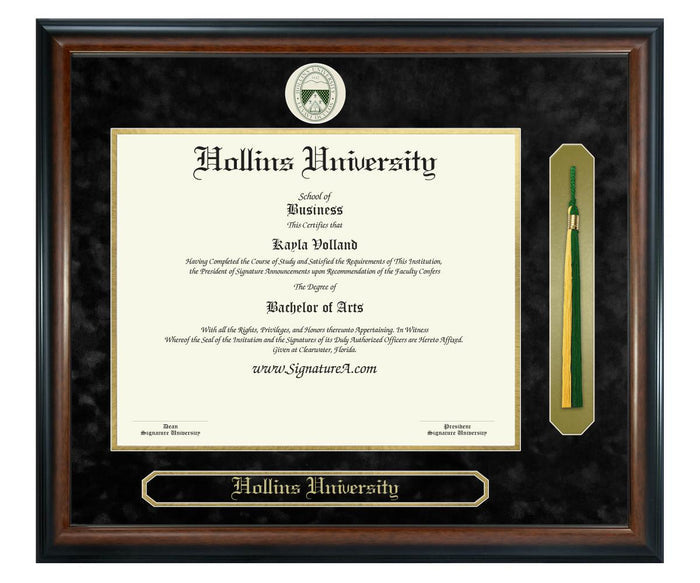 Hollins University Diploma Frame (SNT)