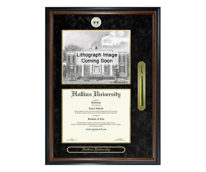 Hollins University Diploma Frame (SNTL)