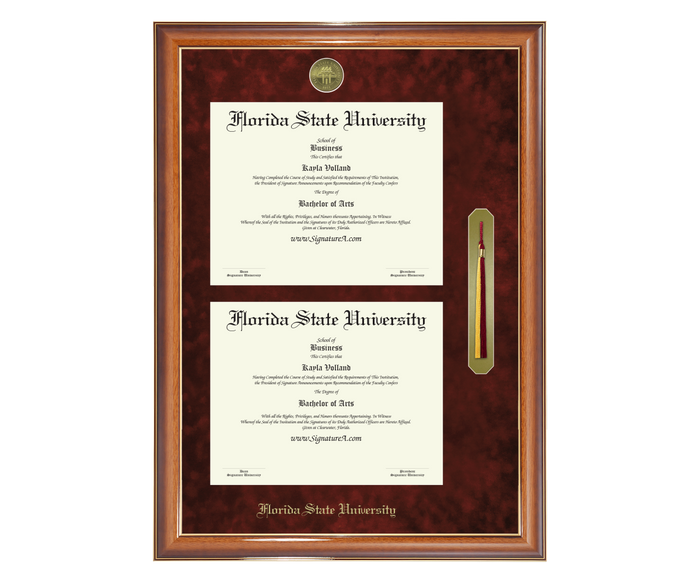 Main Diploma Frame DDSNT