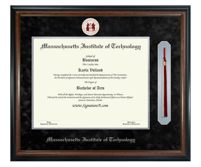 Massachusetts Institute of Technology Diploma Frame (SNT)