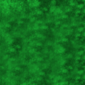 Mat-Seal & Name Suede Green Mat