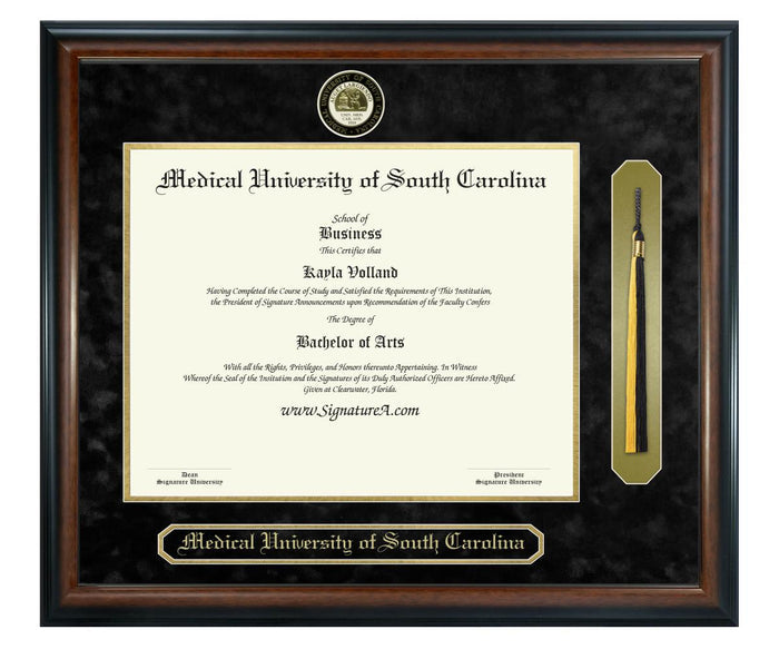 Medical University of South Carolina Diploma Frame (SNT)
