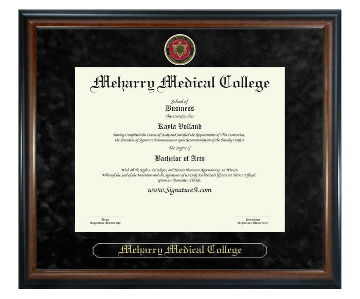 Meharry Medical College Diploma Frame (SN)