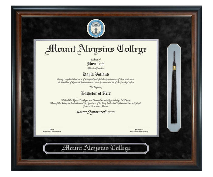 Mount Aloysius College Diploma Frame (SNT)