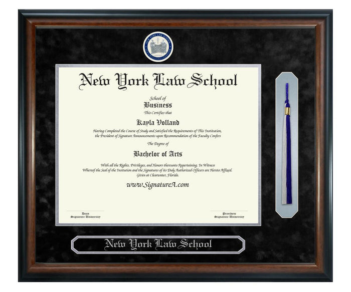 New York Law School Diploma Frame (SNT)