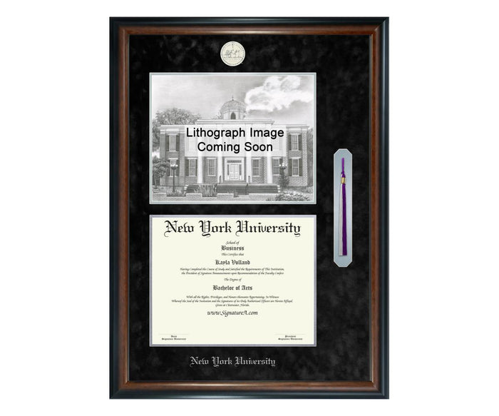 New York University Diploma Frame (SNTL)