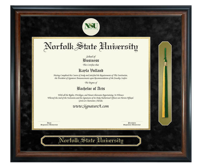Norfolk State University Diploma Frame (SNT)