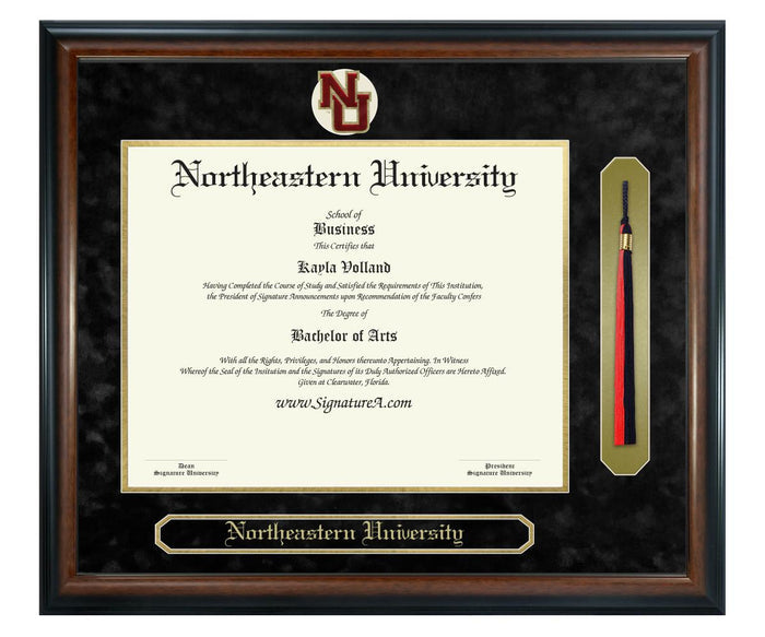 Northeastern University Diploma Frame (SNT)