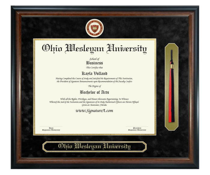 Ohio Wesleyan University Diploma Frame (SNT)