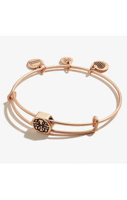 Path of Life® Symbol Bead Charm Bangle
