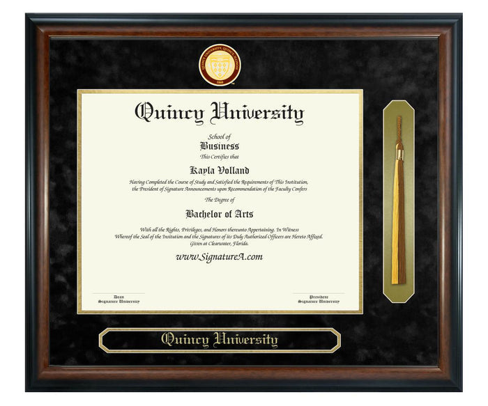 Quincy University Diploma Frame (SNT)