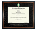 Stetson University Diploma Frame (SN)