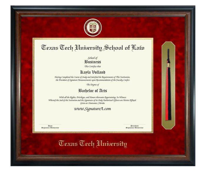 Texas Tech University School of Law Diploma Frame (SNT)