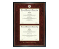 Texas Woman's University Diploma Frame (DSN)