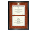 The University of Texas at Austin Diploma Frame (DSN)