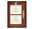 The University of Texas at Austin Diploma Frame (DSNT)