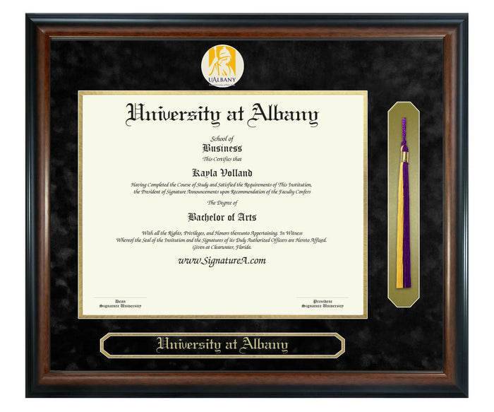 University at Albany Diploma Frame (SNT)