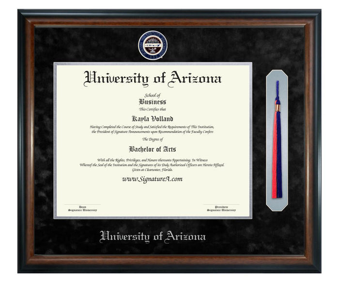 University of Arizona Diploma Frame (SNT)