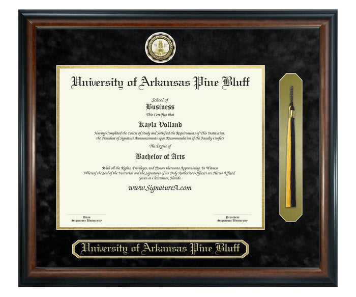 University of Arkansas Pine Bluff Diploma Frame (SNT)