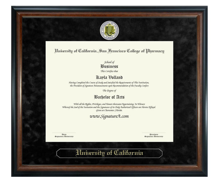 University of California, San Francisco College of Pharmacy Diploma Frame (SN)