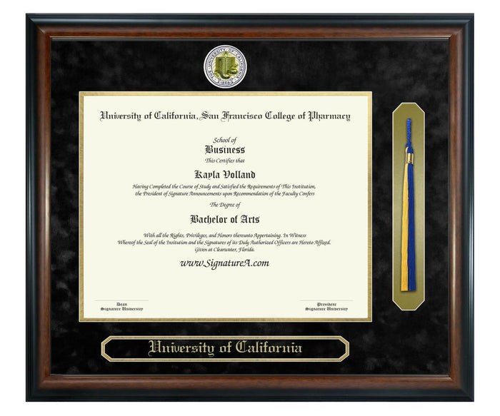 University of California, San Francisco College of Pharmacy Diploma Frame (SNT)