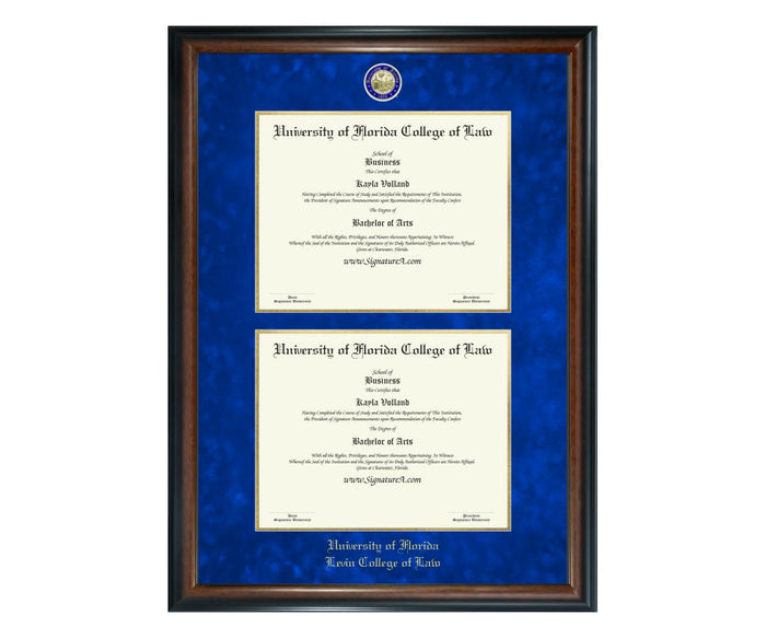 University of Florida College of Law Diploma Frame (DSN)