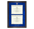 University of Florida College of Medicine Diploma Frame (DSN)