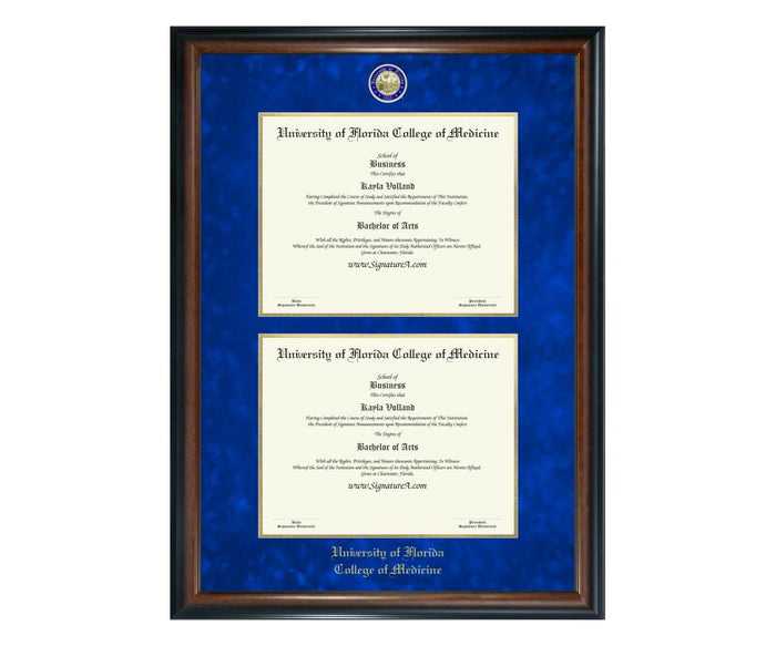 University of Florida College of Medicine Diploma Frame (DSN)