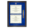 University of Florida College of Medicine Diploma Frame (DSNT)